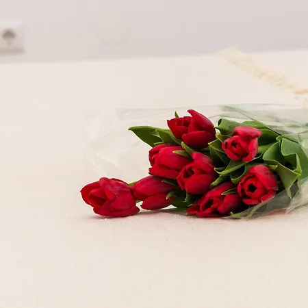 Amabilis - One Bedroom With Terrace And View *