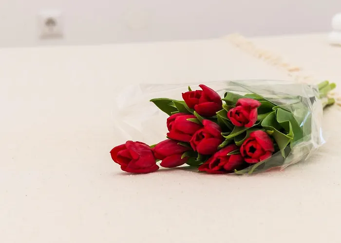 Amabilis - One Bedroom With Terrace And View *